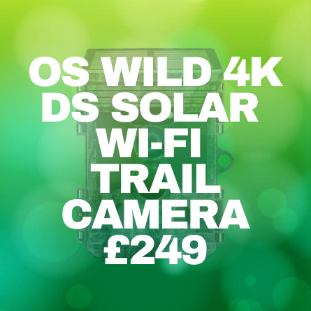 Image 03_12 (10).png